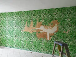 painters Fargo
