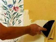 painters in Fargo